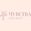 Чувства