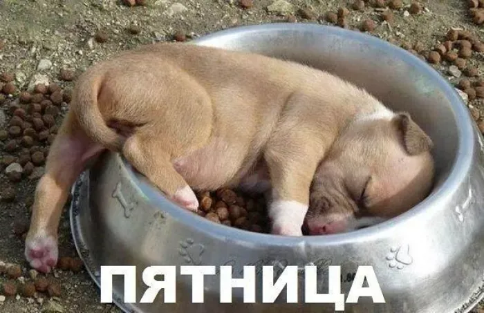 Каро фильм